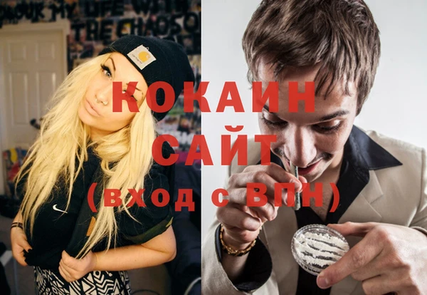 сатива Баксан