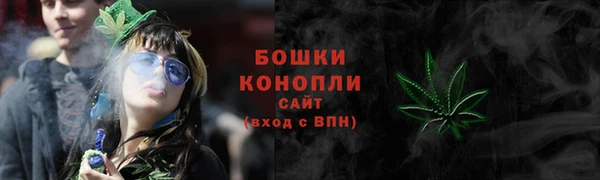сатива Баксан
