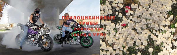 крисы Балахна