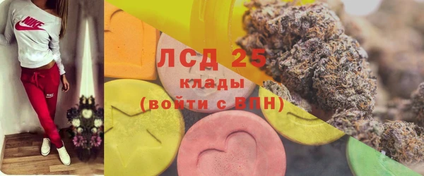 сатива Баксан