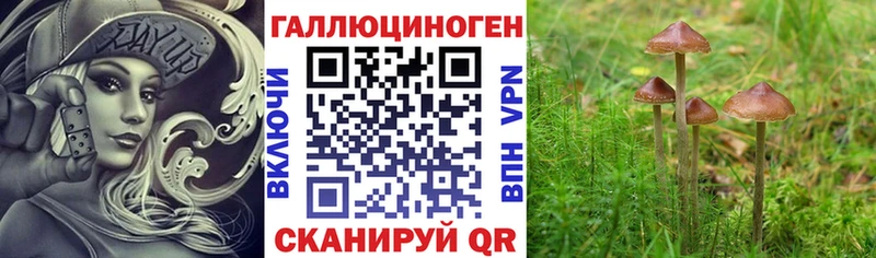 OMG вход  Вятские Поляны  Галлюциногенные грибы Magic Shrooms 